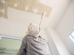 Pintura interiores