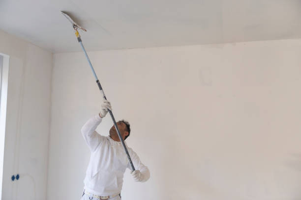 Cómo Pintar Techos como un Profesional: Guía Paso a Paso