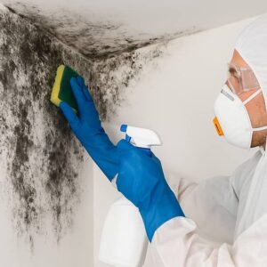 Tratamiento de humedades en Murcia