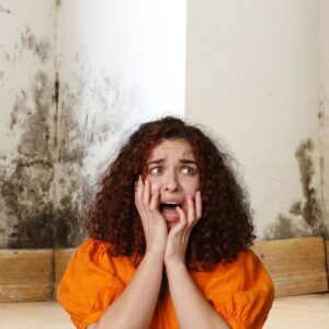 Pintura Antihumedad y Tratamientos Antimoho en Murcia