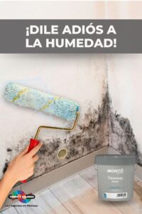 Pintura especial anti-moho y antihumedad