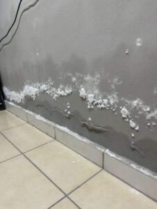 Reparación de superficies con humedades antes de pintar